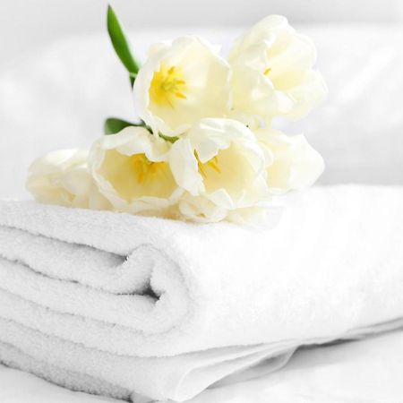 Relax Inn Блуумсбърг Екстериор снимка
